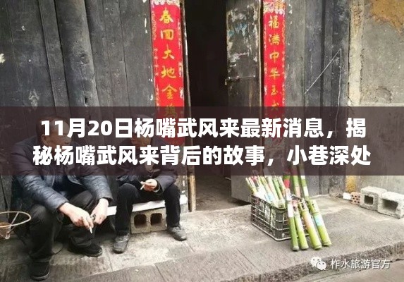 揭秘杨嘴武风来背后的故事，小巷深处的独特风味（最新消息）