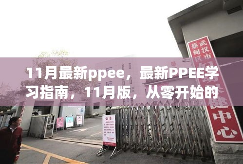 最新PPEE学习指南，从零开始的详细步骤教程（11月版）