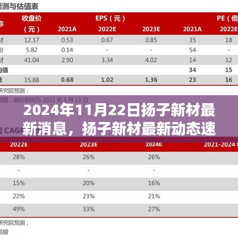 2024年11月22日扬子新材最新消息，扬子新材最新动态速递，2024年11月22日的三大看点