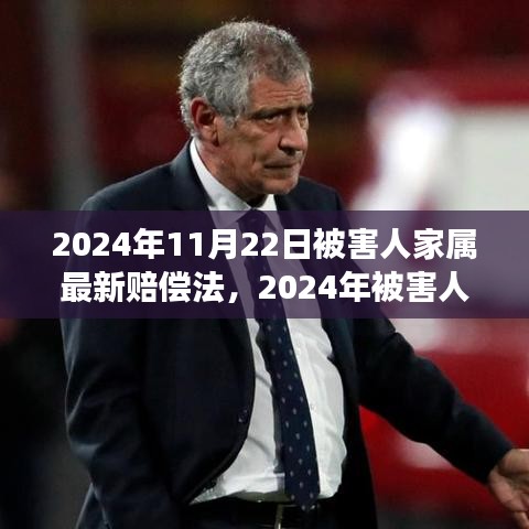 深度解读2024年被害人家属赔偿法，背景、进展与影响