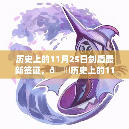 揭秘剑盾最新签证背后的故事，历史上的11月25日回顾与解析🔍