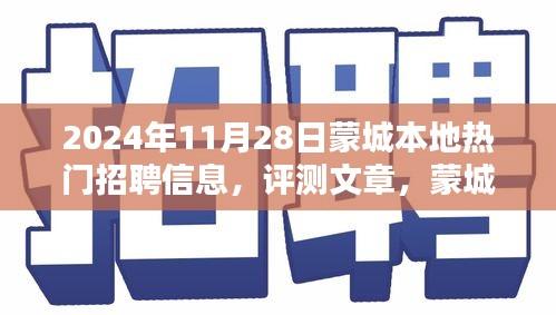 蒙城本地热门招聘信息深度解析与评测报告（2024年11月28日）