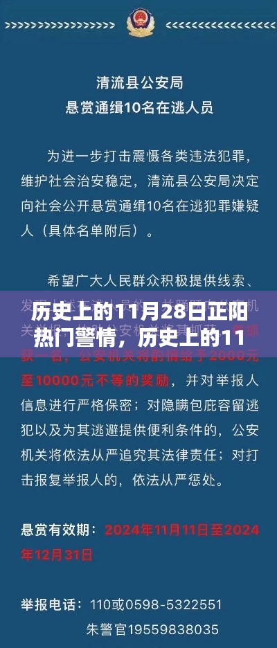 历史上的11月28日正阳热门警情揭秘🔍