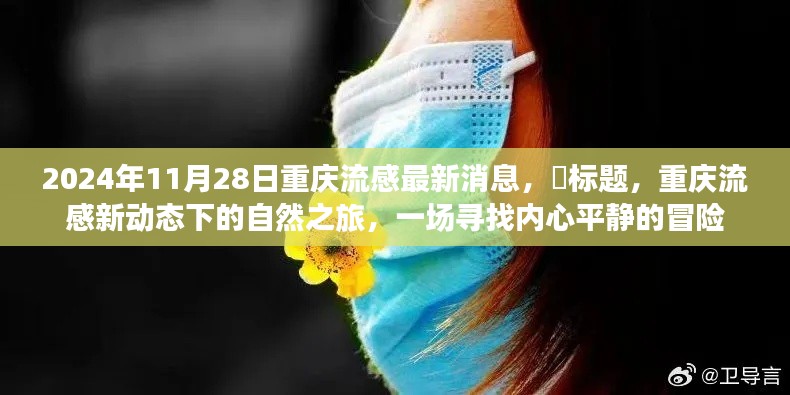 重庆流感新动态下的探索之旅，内心平静的冒险（2024年11月28日最新消息）