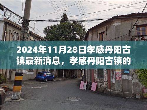 孝感丹阳古镇秋日奇遇，最新消息与温馨时光纪实（2024年11月28日）