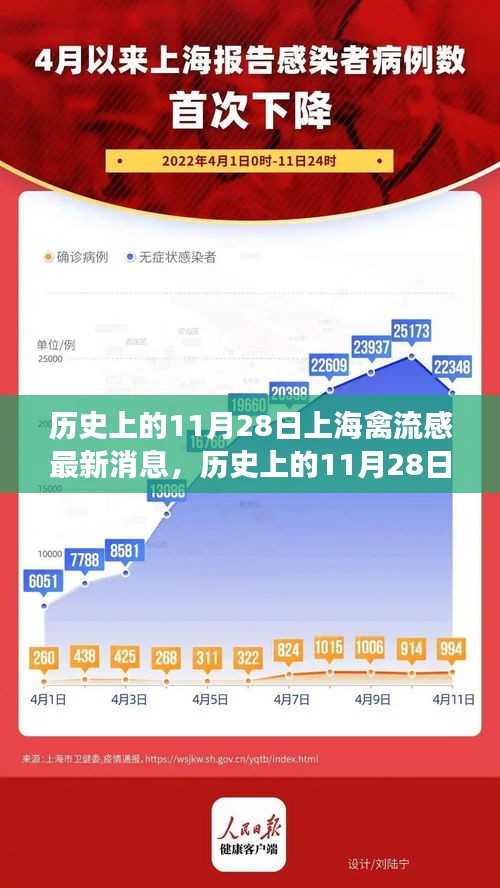 历史上的11月28日上海禽流感及其平息后的自然探索之旅寻找内心宁静