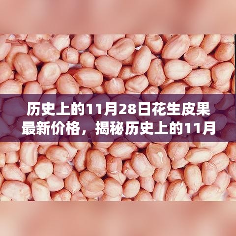 全方位解析，历史上的11月28日花生皮果最新价格获取与解读步骤指南