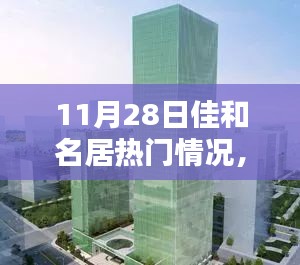 佳和名居11月28日瞩目时刻，回溯与影响分析