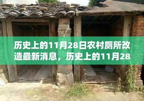 历史上的11月28日，农村厕所改造背后的励志故事与变革力量最新消息