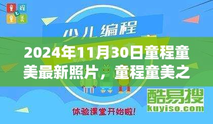 童程童美之旅，探索自然美景的最新照片与内心平静的力量之旅（2024年11月30日）