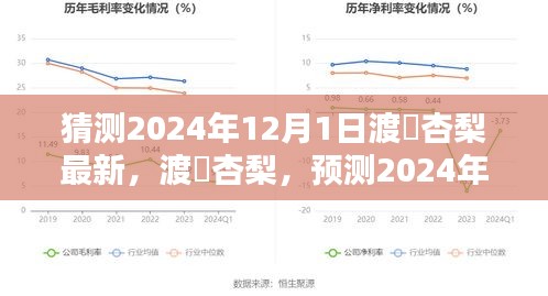 渡辺杏梨2024年12月1日全新风采预测