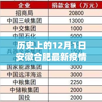 安徽合肥隐秘小巷中的抗疫故事与特色小店的独特魅力——最新疫情回顾与启示（标题）