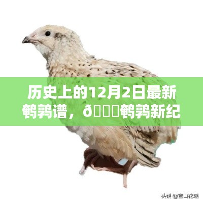 揭秘历史上的鹌鹑新纪元，最新鹌鹑谱智能科技产品揭秘与回顾