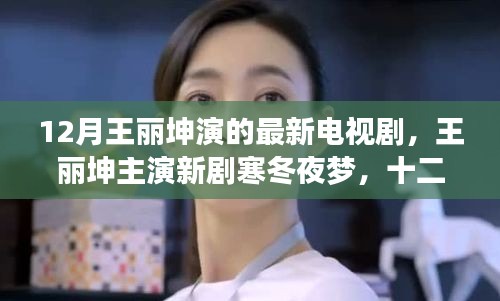 王丽坤主演新剧寒冬夜梦，十二月荧屏璀璨之星