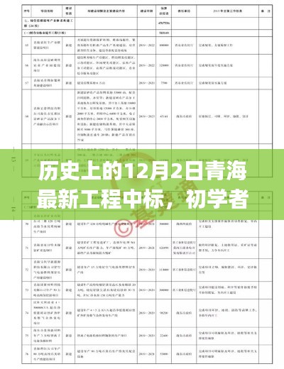 历史上的12月2日青海最新工程中标，初学者与进阶用户的全程指南