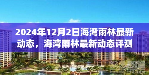 海湾雨林最新动态评测报告，产品特性与用户体验深度剖析（2024年12月2日）