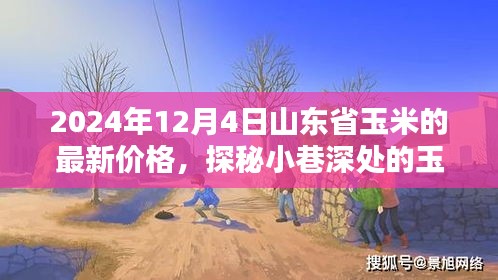 山东省玉米秘境探秘，最新价格与隐藏特色小店的奇妙邂逅