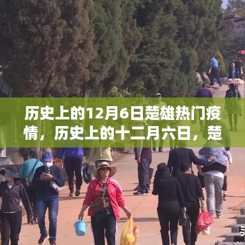 历史上的十二月六日，楚雄疫情风云变迁回顾