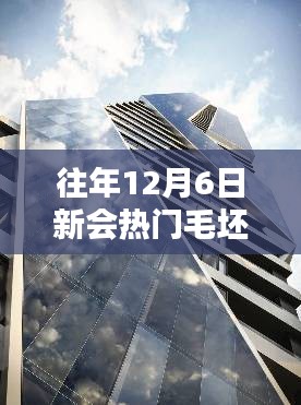 揭秘新会热门毛坯二手楼市，购房者三大关注点解析（往年12月6日）