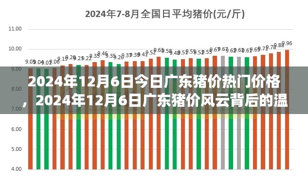 广东猪价风云背后的温情故事，最新价格动态与深度解读