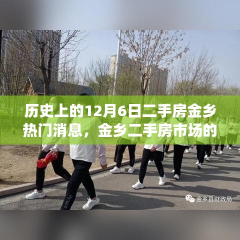 特别的日子，金乡二手房市场温馨故事回顾——12月6日热门消息揭秘