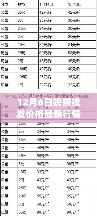 12月6日螃蟹批发价格最新行情，12月6日螃蟹批发价格最新行情详解，入门指南与关键步骤