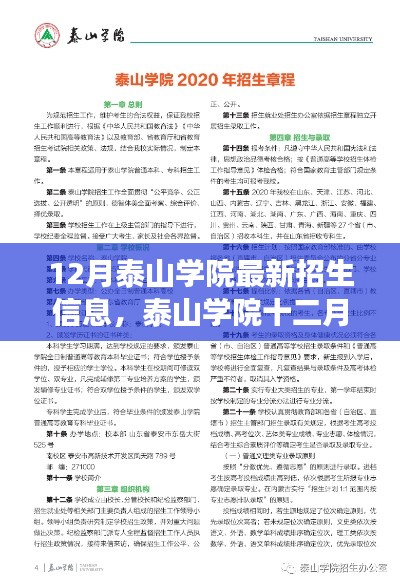 泰山学院最新招生信息解读与观点阐述（十二月版）