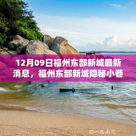 12月09日福州东部新城最新消息，福州东部新城隐秘小巷中的宝藏小店，12月独家新鲜探秘