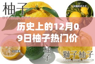 揭秘柚子历史价格，柚子价格查询全攻略（适合初学者与进阶用户）