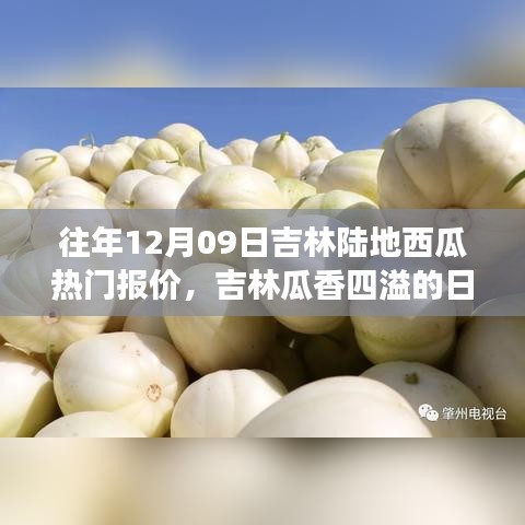 吉林瓜香四溢的日子，瓜农的温馨故事与陆地西瓜热门报价回顾