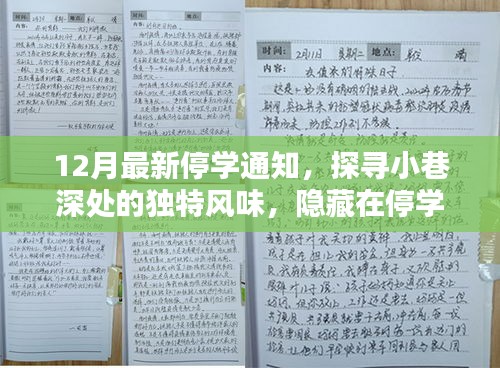 12月最新停学通知，探寻小巷深处的独特风味，隐藏在停学通知背后的秘密小店