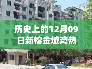 揭秘榕金城湾宝藏小店与历史房价之旅，热门房产回顾与巷弄探索