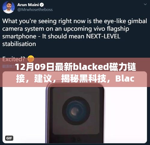 揭秘黑科技，Blacked磁力链接革新之作——探索未来科技犯罪的边缘