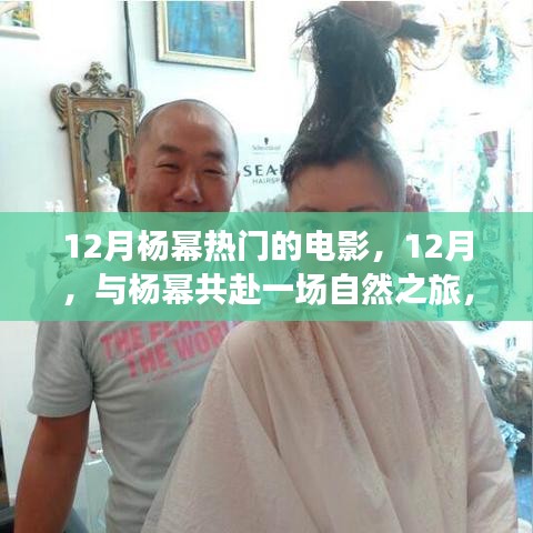 12月与杨幂共赴自然之旅，探寻内心的宁静与美景的魔法