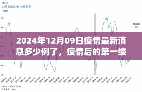 疫情最新消息下的自然美景之旅，启程寻找内心的宁静港湾（2024年12月09日）