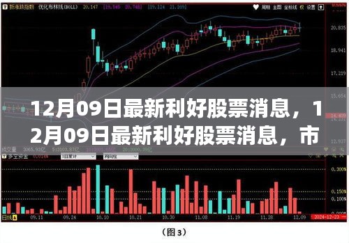 12月09日最新利好股票消息汇总，市场走势分析与投资热点前瞻