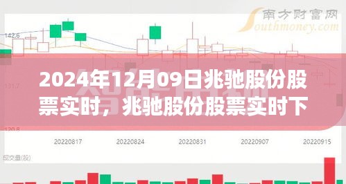 兆驰股份股票实时下的心灵探索之旅，寻找宁静与平和