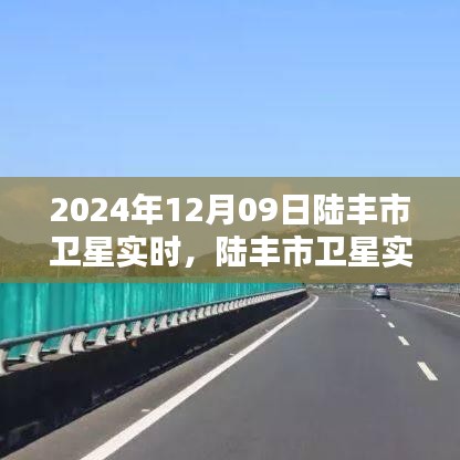 陆丰市卫星实时观测报告，探索星空下的奇迹，2024年12月09日