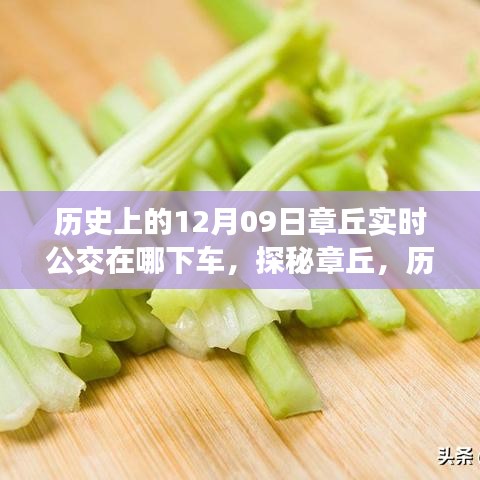 探秘章丘，历史深处的公交轨迹与小巷美食宝藏——12月9日实时公交指南