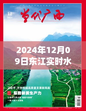 2024年12月09日东江实时水情详解与查询指南