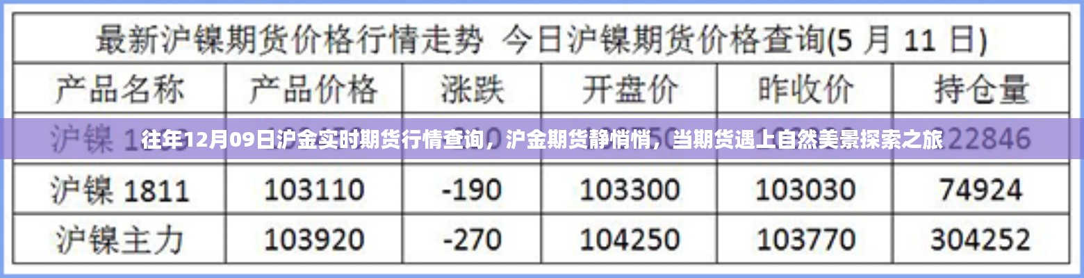 往年12月09日沪金期货行情解析，静谧市场与美景探索之旅