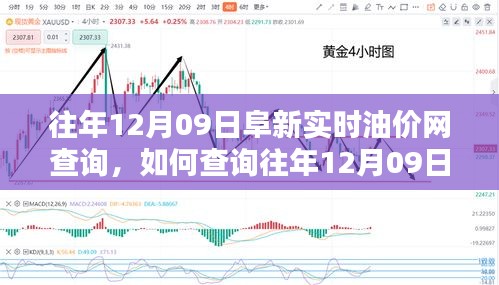 往年12月09日阜新实时油价网查询攻略，初学者与进阶用户指南