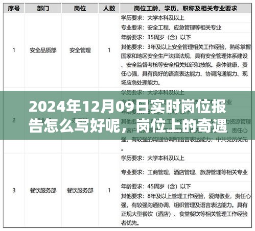 2024年12月09日岗位奇遇与温馨日常实时报告