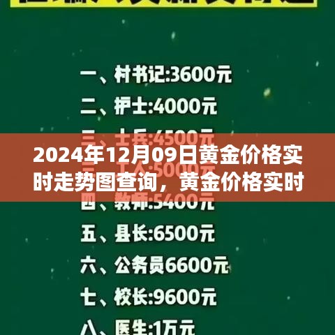 黄金市场脉动解读，2024年黄金价格实时走势图查询