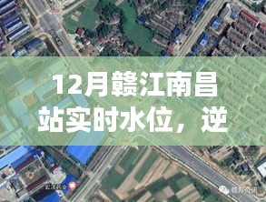 赣江南昌站水位实时观察，逆流而上的成长之旅，展现变化、学习与自信的力量