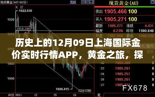 上海国际金价实时行情APP的黄金之旅，历史探索与自然美景的融合体验。