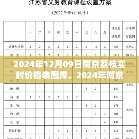 2024年南京荔枝实时价格表图库制作指南，从初学者到进阶用户全攻略