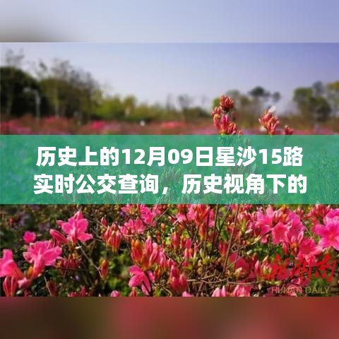 历史视角下的星沙公交发展，星沙公交查询系统深度探讨与实时公交查询服务解析（附，历史上的星沙公交变迁）