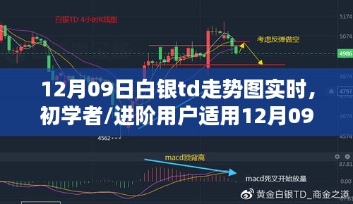 12月09日白银TD走势图实时分析指南，适合初学者与进阶用户