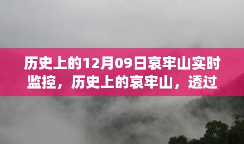 哀牢山历史监控实录，透过实时影像一窥昔日风采